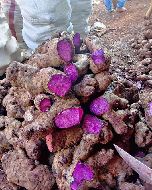 Beyond Purple: Understanding Ube's Cultural Heritage