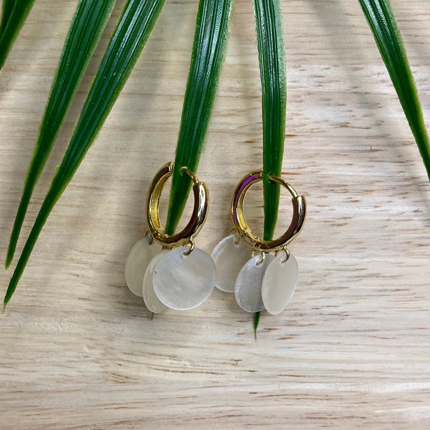 A pair of gold-tone hoop huggie earrings from Aking Sinta, each featuring multiple small, circular, iridescent Capiz shell charms dangling from the hoops. The earrings are artfully displayed draped over green palm-like leaves against a light, natural wood background