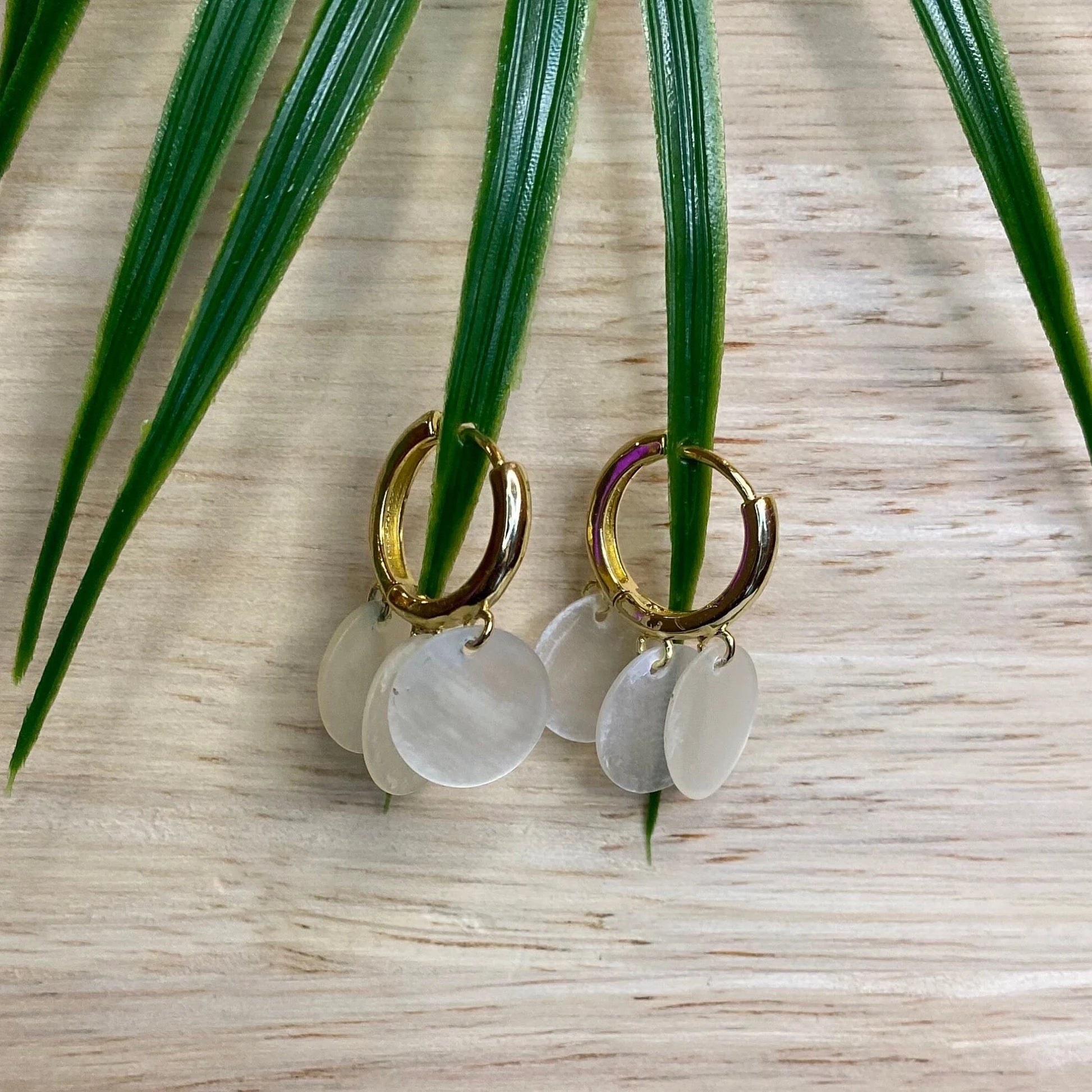 A pair of gold-tone hoop huggie earrings from Aking Sinta, each featuring multiple small, circular, iridescent Capiz shell charms dangling from the hoops. The earrings are artfully displayed draped over green palm-like leaves against a light, natural wood background